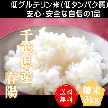 30年産 千葉県産 春陽(低グルテリン米)白米 5kg