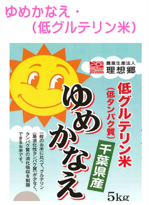 令和2年 千葉県産 ゆめかなえ（低グルテリン米）白米 10kg（5kg×2袋）