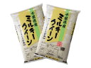 米 10kg ミルキークイーン　おいしい米 白米 10キロ（5kg×2）送料無料 あす楽（注文日時・配達地域による） 贈り物 ギフト 令和5年産 2