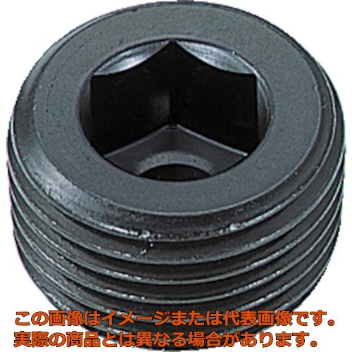 TRUSCO���ơ��ѡ����ߥץ饰��SP4�˹����ᡡPT1��4��14����