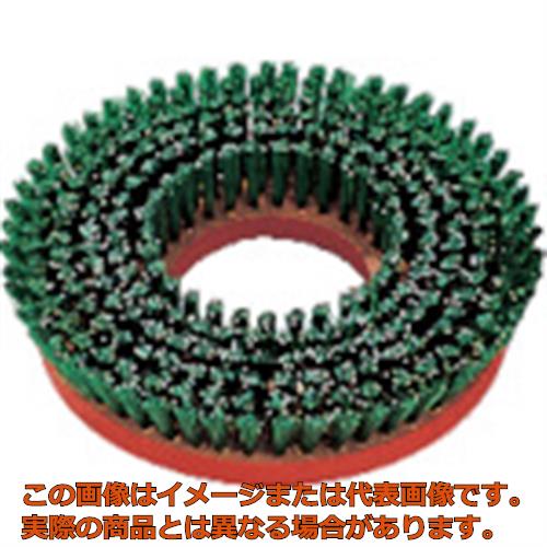 ����ɥ롡����������ݥꥷ�㡼�ѡ��ȡ�����֥饷��8�����