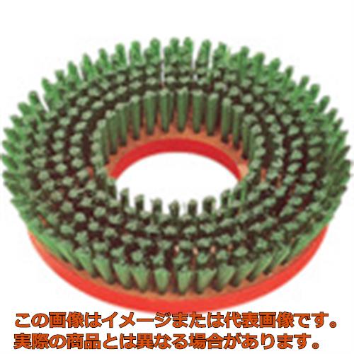 ����ɥ롡����������ݥꥷ�㡼�ѡ��ȡ�����֥饷��14�����