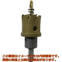 エビ 超硬ホルソー(チタンコーティング) 25mm(4)