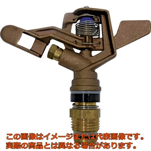 ᥿ѥ륹ץ󥯥顼12ե