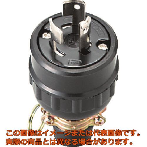 ���������ݥ���ץ饰3P�ɿ����