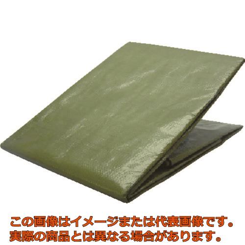 楿ᥤ3000OD꡼󥷡ȡ18mx18m