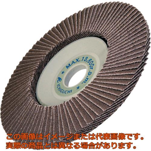 AC���ƥ��Υǥ�����A����180������100�߱���Ĺ��15�߷��16