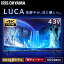 ƥ 43 վƥ 4Kб LUCA 43 ϥӥ   ꥹ LUCA LT-43B620