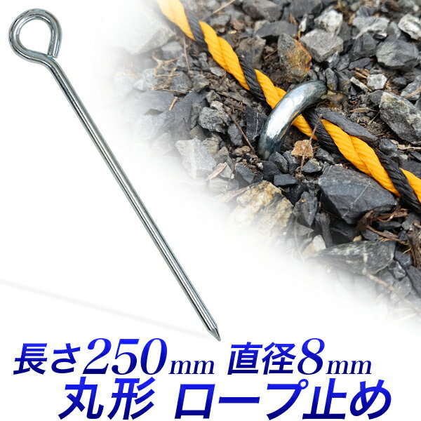 imgrc0110572601.jpg imgrc0110572601.jpg