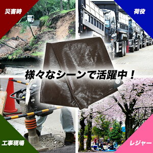 ビニールシート1.7mX1.7m プロシート/耐寒性 耐紫外線 厚手 高品質/水を弾く 現場作業 養生 荷役 レジャー/防災 災害/通販格安セール情報 楽天 通販