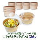 【★即納★】紙製 サラダ容器 透明蓋付き 750ml/サラダボウル フタ付き 使い捨て クラフトボウル/ふた付 紙製 どんぶり 容器/グランピング キッチンカー...