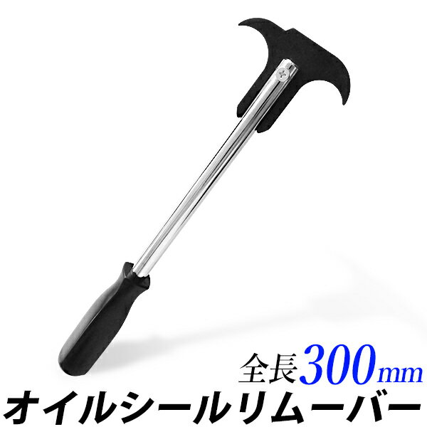 imgrc0090964395.jpg imgrc0090964395.jpg