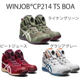 åASICS  󥸥֡CP214TSBOA 1271A056 ϥå 졡 2023ʡä奢롡WINJOB쥽