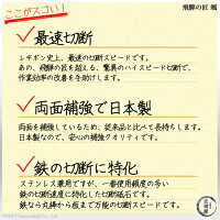 RESIBON飛騨の匠颯-HAYATE-お得な50枚セットHTH10510-AZ-60レヂボンはやて鉄の最速切断に
