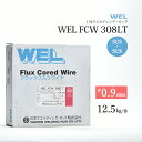 WEL ( 日本ウェルディングロッド ) 半自動溶接ワイヤ WEL FCW 308 LT フラックス ステンレス φ 0.9mm 12.5kg巻