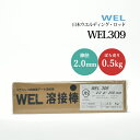 WEL ( 日本ウェルディングロッド ) アーク溶接棒 WEL 309 ステンレス鋼 用 φ 2.0mm 250mm ばら売り 0.5kg