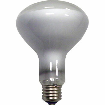 åȲʳ(Kett)ֳס100V 185W