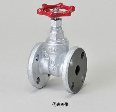 ☆日立金属　HM10KFS-50A　マレブル　汎用10Kタイプ　仕切弁　フランジ形 　呼び50A　(2)　　（日立バルブ）