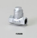 ☆日立金属 HM10SCS マレブル 汎用10Kタイプ 逆止め弁(スイング式) ねじこみ形 呼び40A (11/2) (日立バルブ)