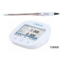 ☆堀場製作所/HORIBA F-74L 卓上型pHメータセット(9680S-10D付) コード(0619-01-0002320)(4)