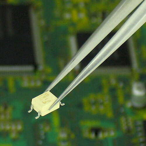 �ڥ᡼�����б��ۡ����󥸥˥���PT-31��Ŵ�ӥԥ󥻥å�