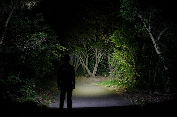 ☆GENTOS/ジェントス GT-391D ハイパフォーマンスLEDヘッドライト ゲインテックシリーズ通販格安セール情報 楽天 通販