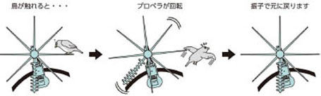 ����ư�Ź���TKK����Ļ���ʡ��Ȥꥯ�륯�롡��������(4983947)