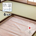 畳下用 【防湿シート 6帖用（1.0m×3.8m）3枚入り】 日本製 畳 防虫紙 防虫シート 防ダニシートと使うとより効果的！ 防湿透明シート 湿気対策に