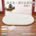 【楽天1位】玄関マット 室内 洗える おしゃれ 50×80c