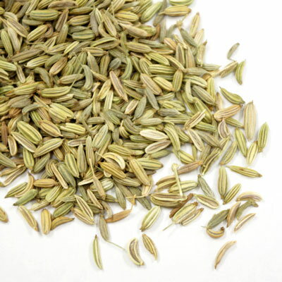 オーガニック フェンネル シード 500g　茴香 ういきょう ウイキョウ fennel ハーブティー お茶 料理 スパイス