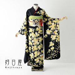 https://thumbnail.image.rakuten.co.jp/@0_mall/koujitsuya/cabinet/furisode/bk-054/bk-054-a.jpg