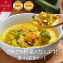 【10%OFFクーポン★5/9(金)20:00~5/16(金)1:59】スープ 選べる6食セット 無添加 体にやさしい ギフト お野菜ゴロゴロ! 【のし対応可】...