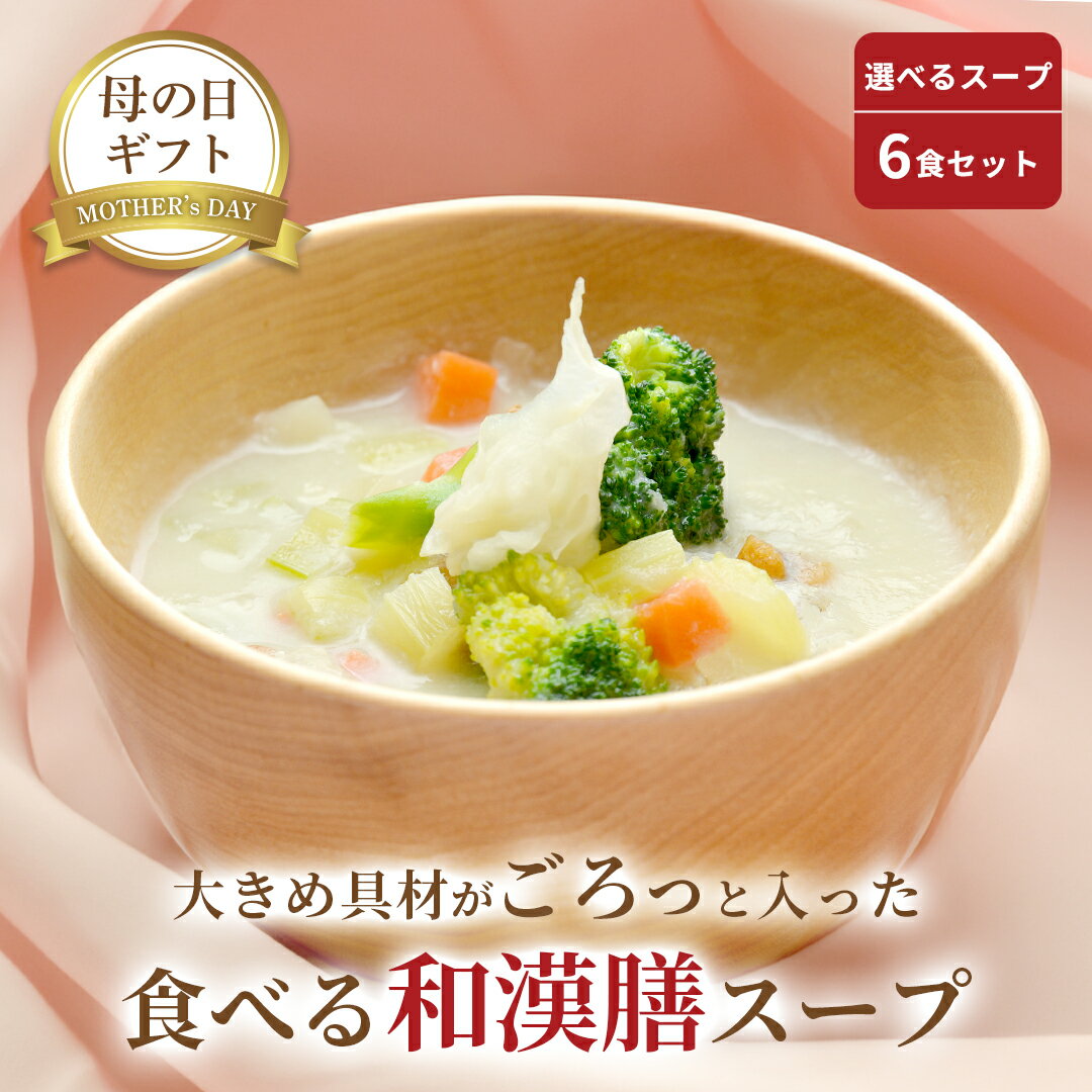 【 母の日 早割！10%OFFクーポン】 スープ お野菜ゴロゴロ 選べる6食セット 無添加 身体整う 体にやさしい ギフト 【のし対応可 】 健康スープ 春ギフト お歳暮 出産内祝 出産祝 結婚御祝 結婚内祝 内祝 御祝 御礼 野菜 朝食 夕食