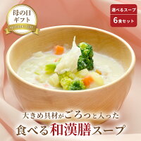 スープ お野菜ゴロゴロ 選べる6食セット 無添加 身体整う 体にやさしい ギフト 【...
