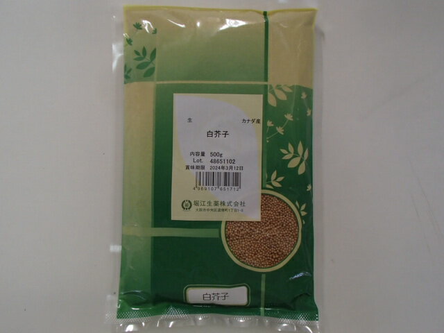 ゆうパケット発送・送料無料白芥子(生)(はくがいし・ハクガイシ・芥子)カナダ産 500g堀江生薬