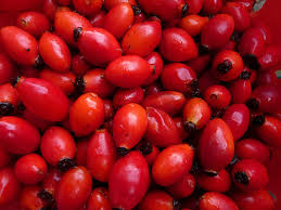 ローズヒップ（原形）500g×2袋　　栃本天海堂