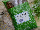 アスナロ(小島漢方)500g×2個(4)