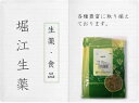 容量 500g メーカー(製造) 堀江生薬株式会社 区分 食品 広告文責 株式会社　皇漢堂薬局 (電話)0120-238-378