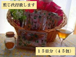 【煎じ済み・液体パック・漢方薬】茯苓飲加半夏（ぶくりょういんかはんげ）15日分（45包）【薬局製造販売医薬品】(株式会社皇漢堂薬局)