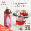 【P3倍★48本】 広貫堂 膳食生活 ルイボス茶 500ml 24本 2ケース 【送料無料】 ペットボトル ルイボスティー ルイボス ポリフェノール ノンカフェイン カロリーゼロ 健康茶 ヘルシー 健康 美容 お茶 酵素 SOD酵素 まとめ買い ギフト プレゼント 廣貫堂 あす楽