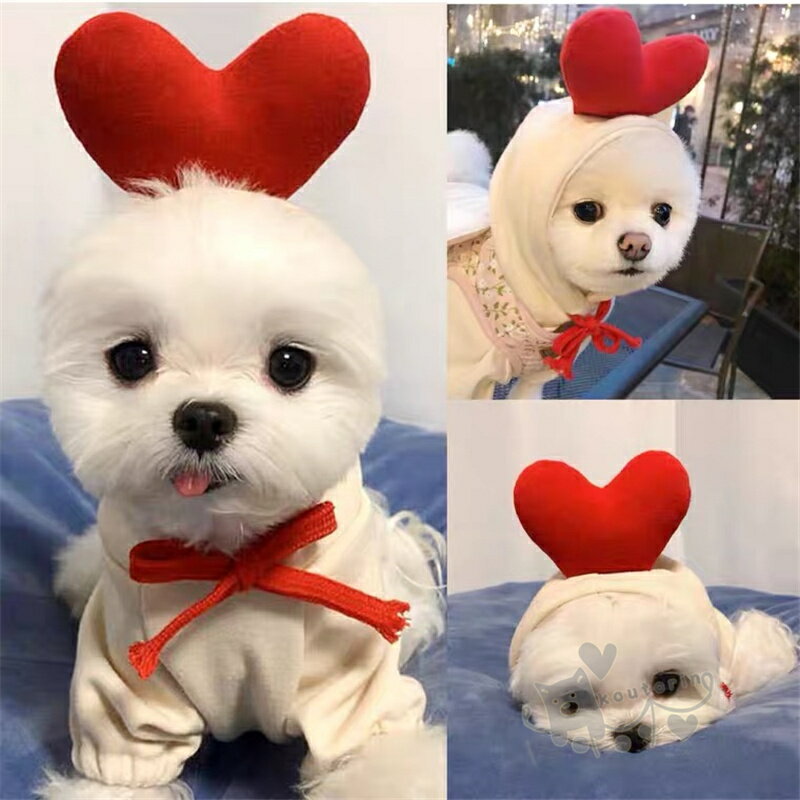 犬の服 可愛い ペット服 ハート型 秋冬服 フード付き お散歩お出かけウェアに 小型犬 中型犬 暖かい 防寒 冬のサムネイル