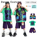 キッズ ダンス 衣装 シマウマ柄 パープル ベスト ショートパンツ グリーン 男の子 女の子 子供 ヒップホップ 衣装 ダンスウェア パンツセッ ステージ衣装 ...