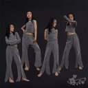 キッズダンス衣装 ヒップホップ 女の子 HIPHOP 子供 キラキラ シルバー ベスト トップス パンツ チアガール ジャズダンス チアガール 応援団 へそ出し...