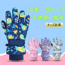 防寒手袋 キッズ スキー 男の子 スノー手袋 子供 子供 グローブ 男の子 女の子 恐竜柄 保温 防寒 撥水 雪遊び スキーグローブ 裏ボア 子ども ミトン 滑り止め 女の子 通園 通学 雪遊び アウトドア 恐竜 手袋 送料無料
