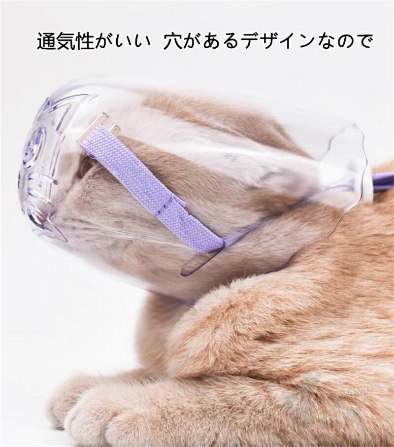 ¨Ǽ ǭ�� �ޥ��� ���� �Ĥ��� ���� �������� �ɻ� Ʃ����Ħ�� Ʃ�� �ڥå����� �¿����� �����������å� �ɻ߸��� ���襤�� �������