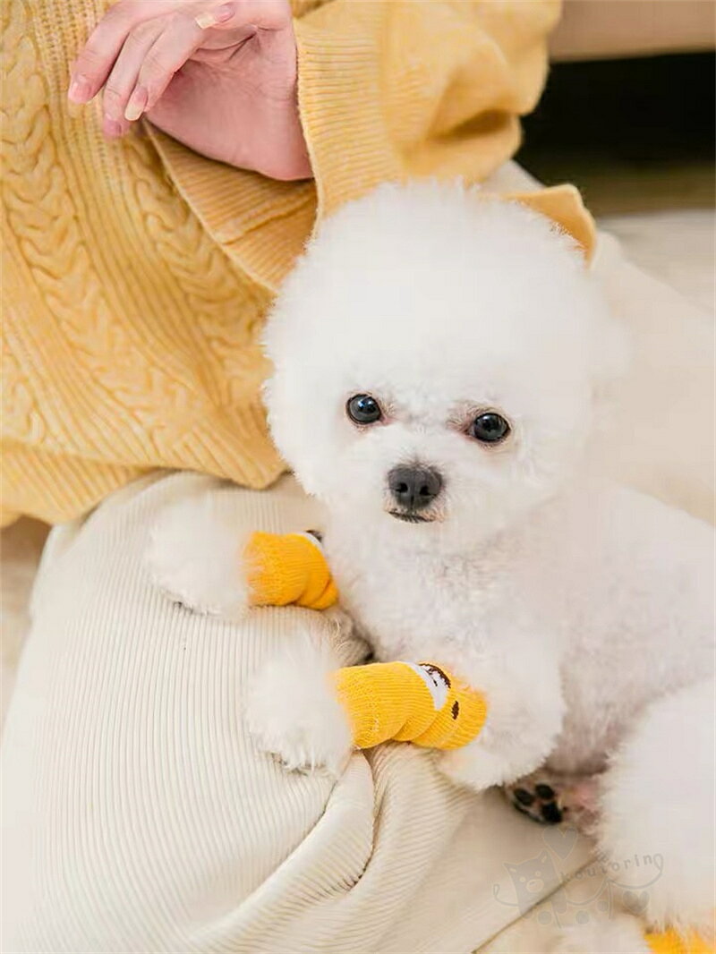 koutorinの犬用ソックス ペット用靴下 4枚セット 可愛い 靴下 ロングソックス 関節プロテクター 防寒 汚れ防止 暖かい 送料無料｜アングル3