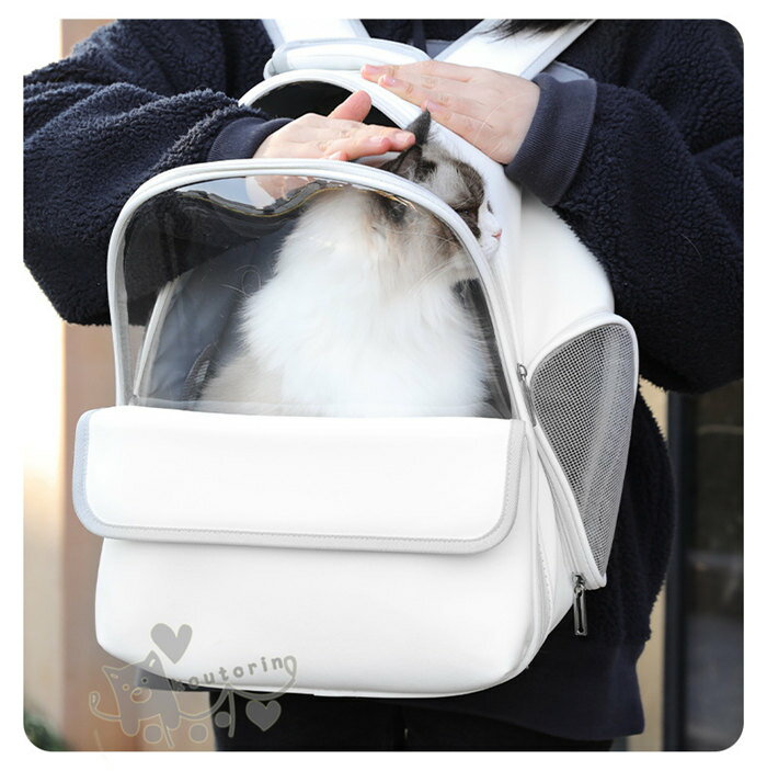 �ڥåȥ���꡼ ǭ�� ���� ���å� �� ����꡼�Хå� ���襤�� ���դ� �ϡ��� ����꡼ �ڥåȥХå� ����꡼������ �ڥå��ѥ���꡼ ����Хå� ������ ����pet ���å��� ������� ����̵��