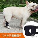 ペット用サポーター 保護犬 猫 足プロテクター 保護用包帯 通気性 超軽量 弾力 手術怪我固定 足の保護 老犬介護 後ろ足無力感補助 傷口保護 舐め防止 関節保護 送料無料
