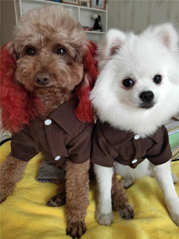 犬服猫服タキシード 蝶ネクタイ付き 結婚式 犬服 ペット服 ペット用 犬服猫服 燕尾服 洋服 紳士 コスプレ ペット プレゼント 中型犬 送料無料 お祝い 犬タキシード Xs Xl 返品送料無料 蝶ネクタイ 記念 ドッグウエア リボン 制服 小型犬 パーティー