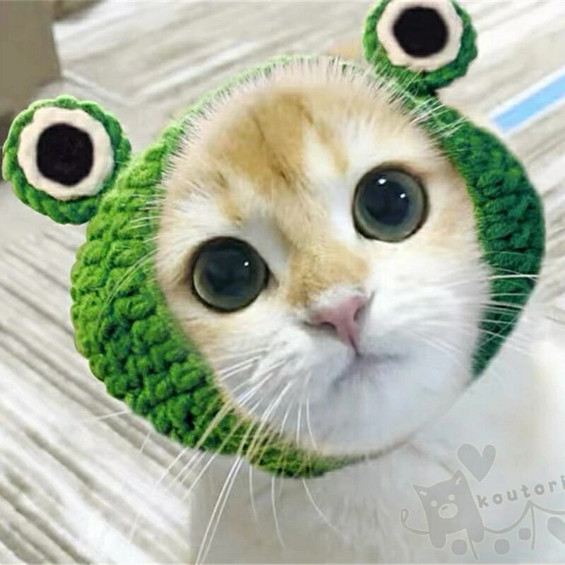 手作りの織猫用カエル帽子ペットキャップ ペット犬の帽子カエルの形キャットハットグリーンかわいいヘアバンド犬キャップ犬アクセサリー 送料無料のサムネイル
